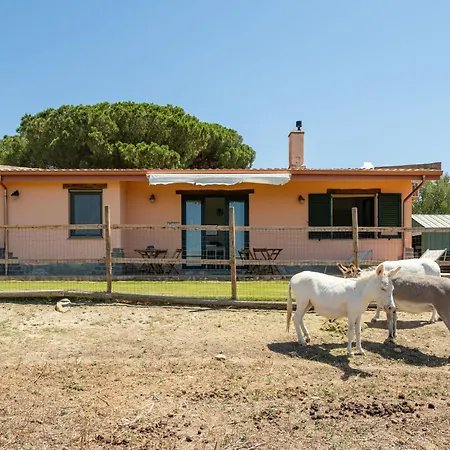 Terra Del Vento By Interhome * Quartucciu