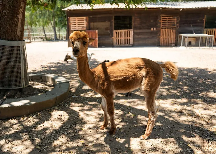 Сasa de vacaciones Terra Del Vento By Interhome Quartucciu