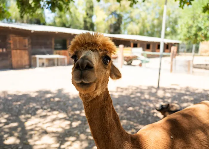 Сasa de vacaciones Terra Del Vento By Interhome *