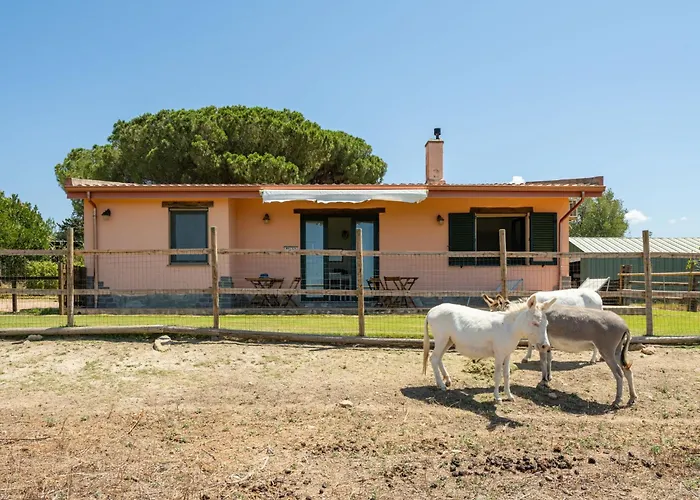 Terra Del Vento By Interhome * Quartucciu