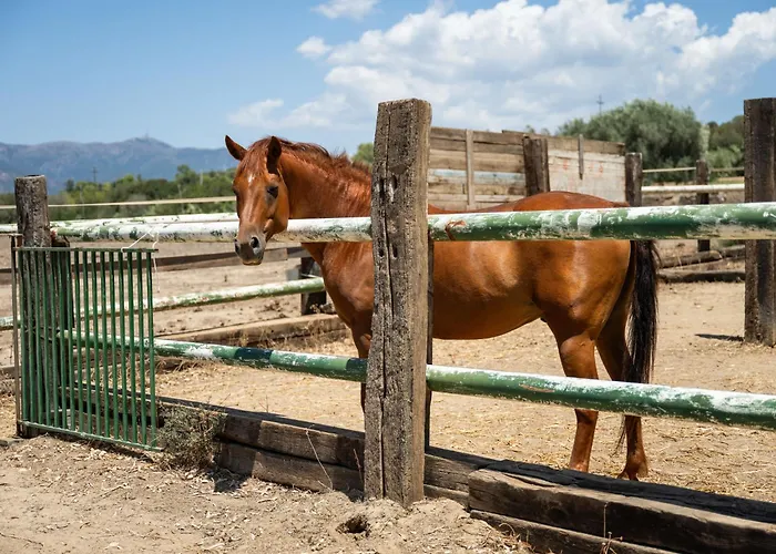 Terra Del Vento By Interhome Сasa de vacaciones