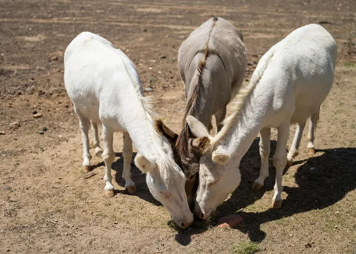 Сasa de vacaciones Terra Del Vento By Interhome *